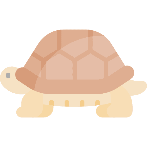 Turtle zoology turtle animals icon