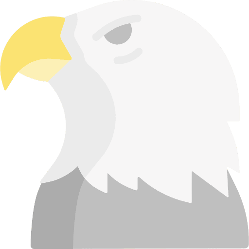 Eagle eagle bird ornithology icon
