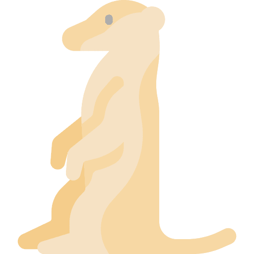 Meerkat wild life meerkat animal kingdom icon