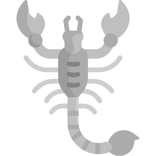 Scorpion venomous scorpion animals icon