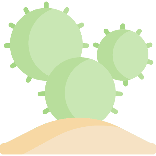 Cactus botanical nature wild west icon