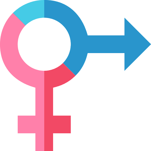 Heterosexual shapes security shapes and symbols icon Heterosexual shapes security shapes and symbols icon