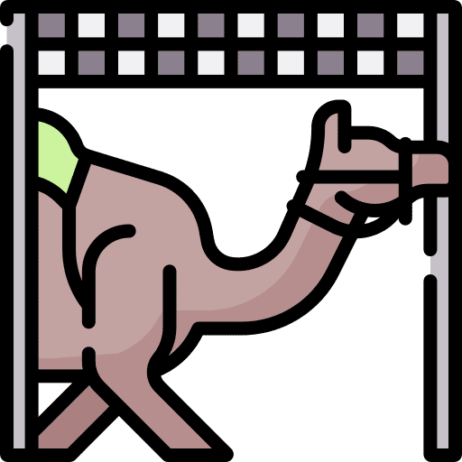 Camel checkered flag animals race icon Camel checkered flag animals race icon