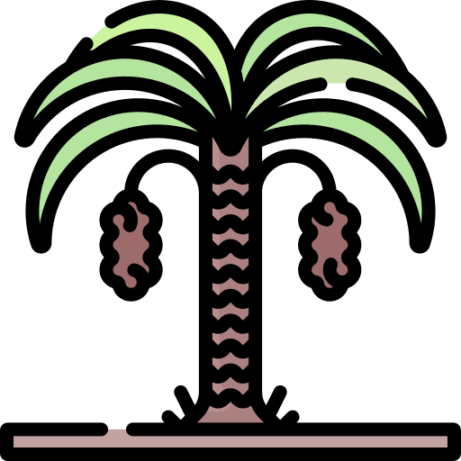 Tree botany tree nature icon