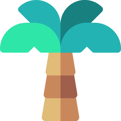 Palm palm tree nature icon