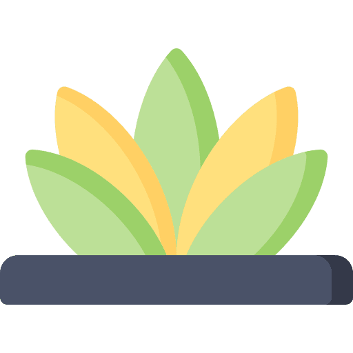 Agave agave mexican nature icon Agave agave mexican nature icon