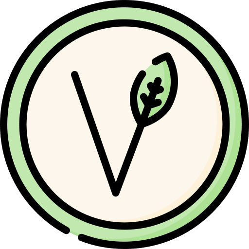 Vegan vegan symbol eco friendly vegan icon Vegan vegan symbol eco friendly vegan icon