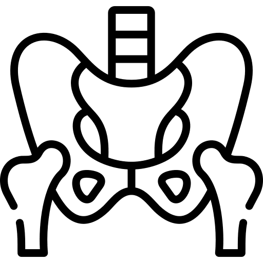 Pelvis healthcare and medical body part hip icon