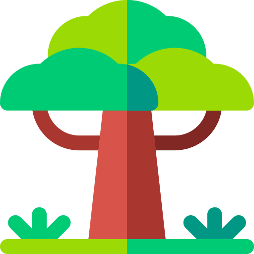 Tree tree baobab botanical icon