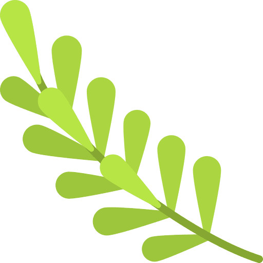 Rosemary essential oils aromatic therapy icon