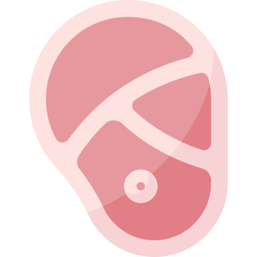 Meat protein meat barbecue icon Meat protein meat barbecue icon