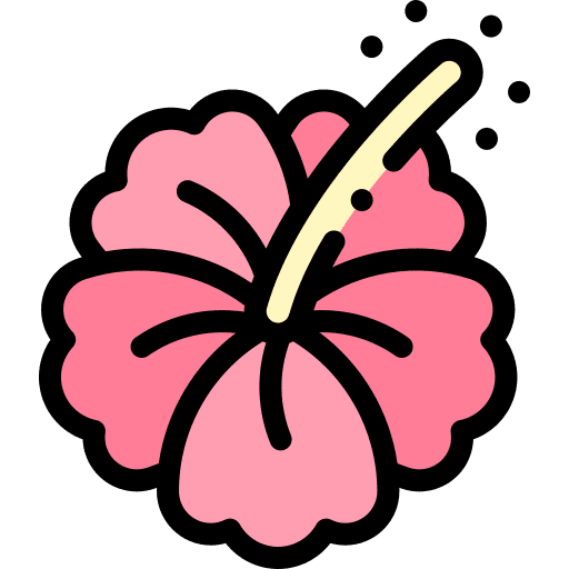 Hibiscus hibiscus flower blossom icon