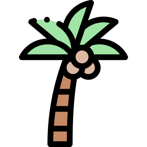 Coconut tree botanical nature coconut tree icon Coconut tree botanical nature coconut tree icon