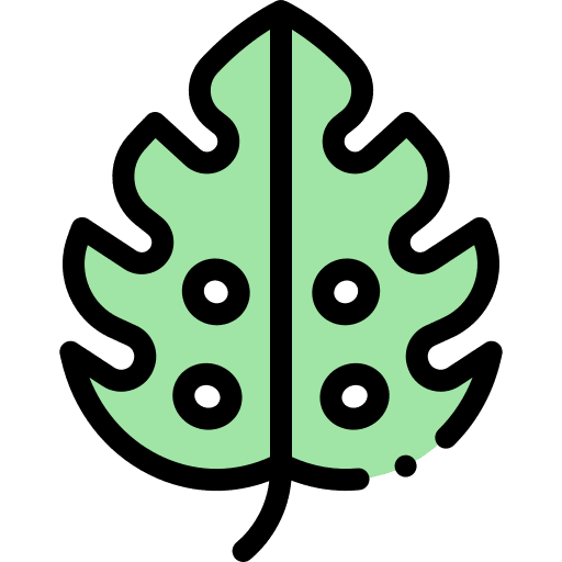 Leaf nature leaf tropical icon Leaf nature leaf tropical icon