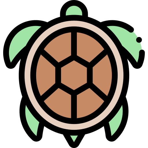 Turtle animals aquatic aquarium icon Turtle animals aquatic aquarium icon
