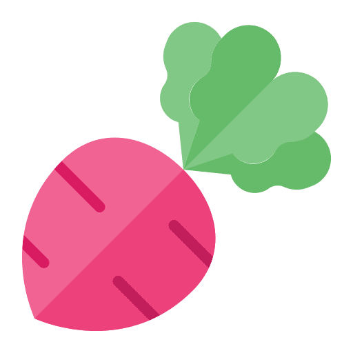 Beetroot beetroot nutrition diet icon