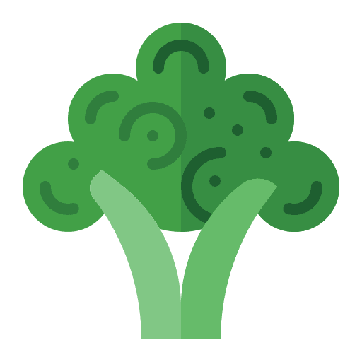 Broccoli vegetable diet vegan icon