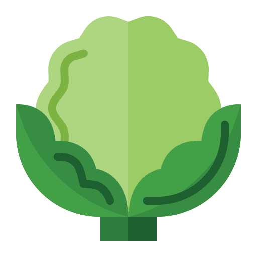 Cauliflower healthy food vegetable food and restaurant icon Cauliflower healthy food vegetable food and restaurant icon