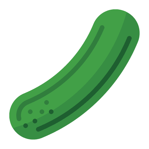 Cucumber healthy food vegan vegetarian icon