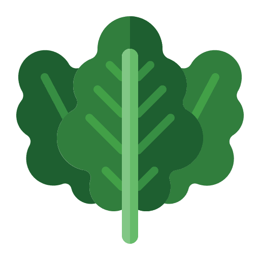 Kale vegetable kale diet icon
