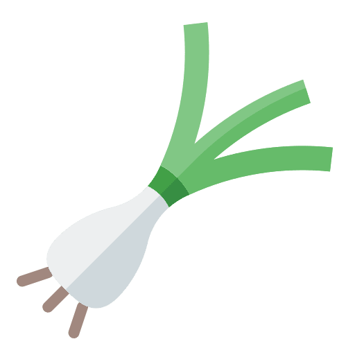 Leek gastronomy vegetarian healthy food icon