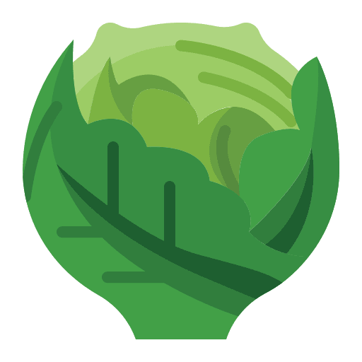 Cabbage vegan food and restaurant nutrition icon Cabbage vegan food and restaurant nutrition icon