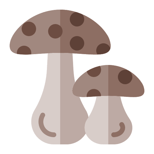 Mushroom diet healthy food vegetarian icon Mushroom diet healthy food vegetarian icon