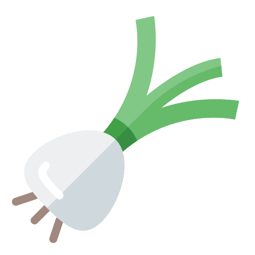 Shallot healthy food vegan diet icon Shallot healthy food vegan diet icon