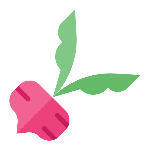 Beetroot beetroot vegetable radish icon Beetroot beetroot vegetable radish icon
