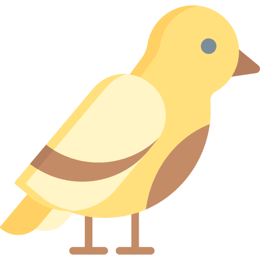 Bird fly aviary animals icon Bird fly aviary animals icon