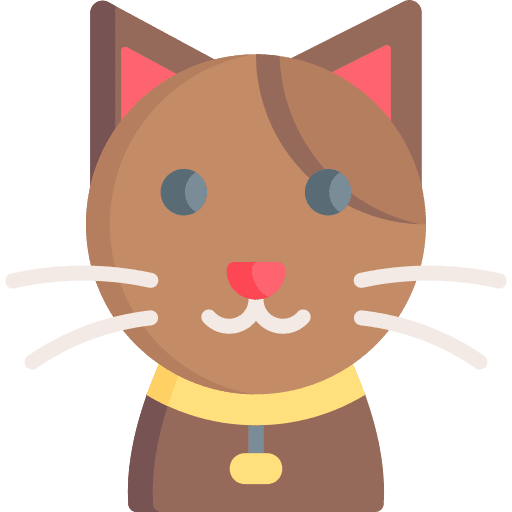 Cat animals animal animal kingdom icon