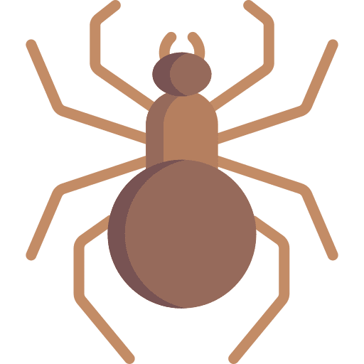 Spider bug animals spider icon