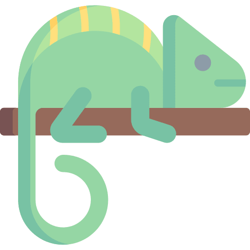 Chameleon chameleon animals zoo icon Chameleon chameleon animals zoo icon