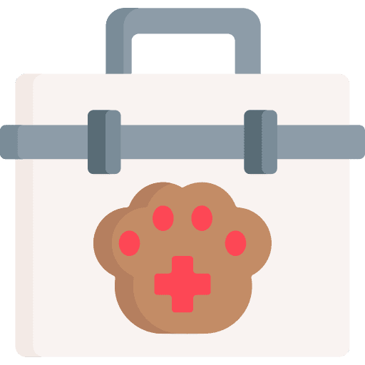 First aid kit healthcare first aid kit pet icon First aid kit healthcare first aid kit pet icon