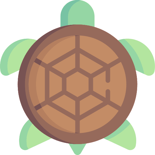 Turtle animals animal kingdom turtle icon Turtle animals animal kingdom turtle icon