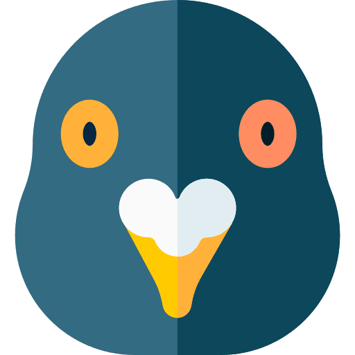 Dove bird pigeon animals icon