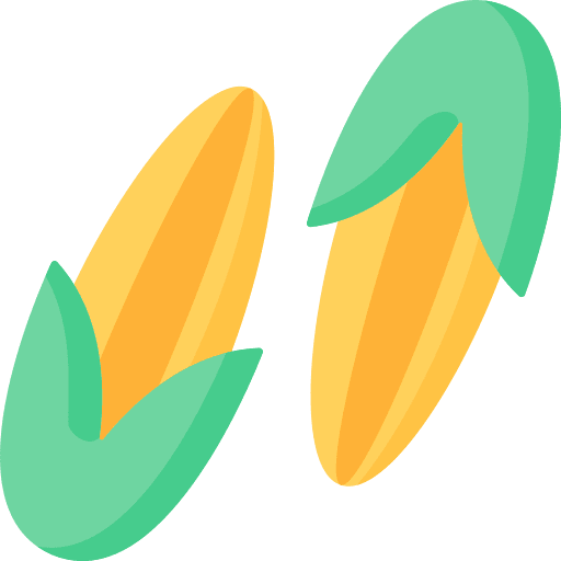 Corn agriculture corn vegan icon