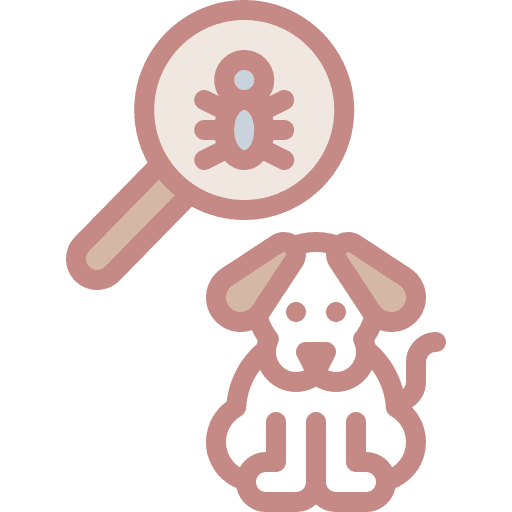 Dog fleas health flea icon