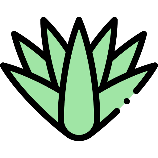 Agave garden nature mexican icon