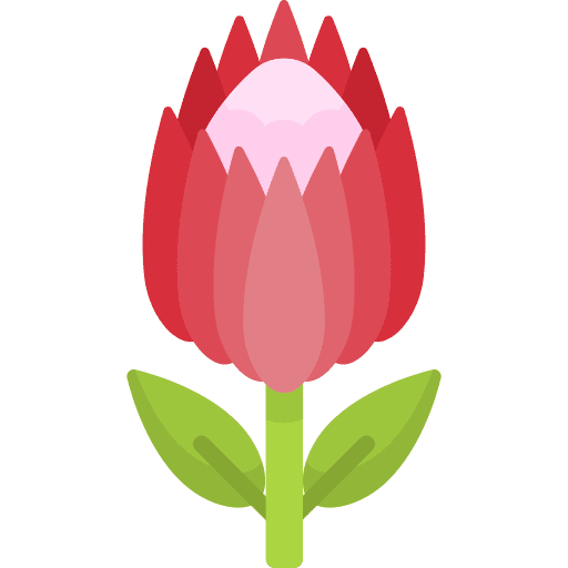 Protea flower protea south africa icon Protea flower protea south africa icon