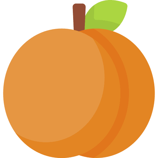 Apricot apricot fruit organic icon Apricot apricot fruit organic icon