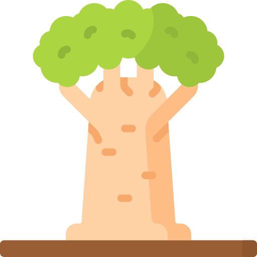 Baobab jungle safari baobab icon Baobab jungle safari baobab icon