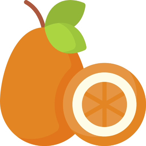 Kumquat food food and restaurant healthy food icon Kumquat food food and restaurant healthy food icon