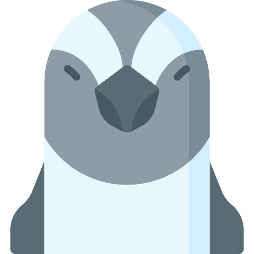 Penguin bird animal kingdom penguin icon Penguin bird animal kingdom penguin icon