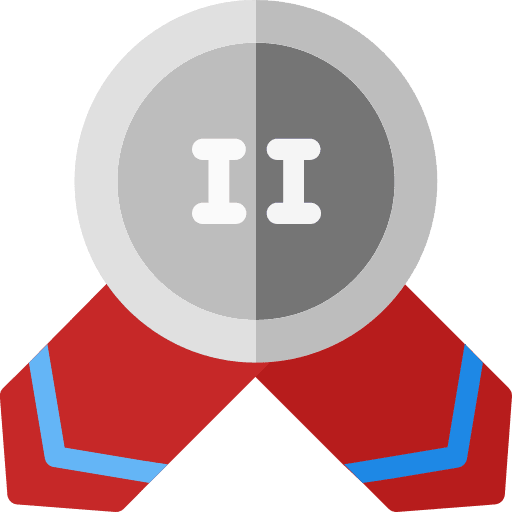 Medal badge insignia second icon