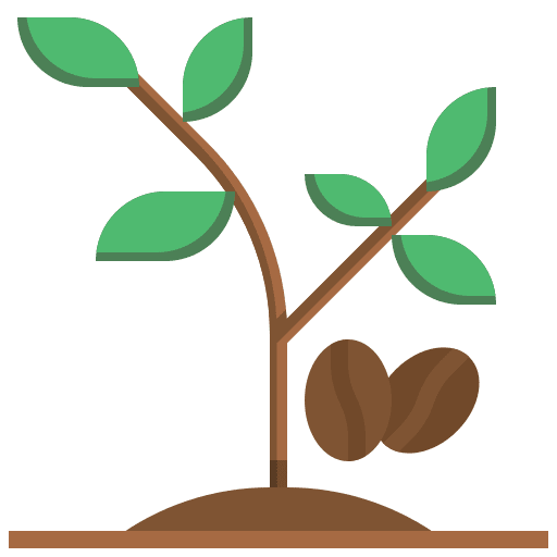 Coffee plant coffee beans coffee coffee bean icon