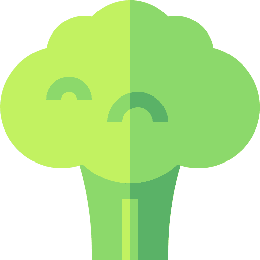 Broccoli broccoli vegetarian food icon