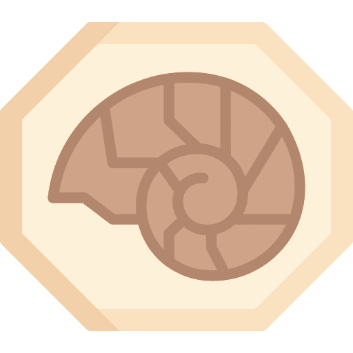 Fossil shell archaeology miscellaneous icon