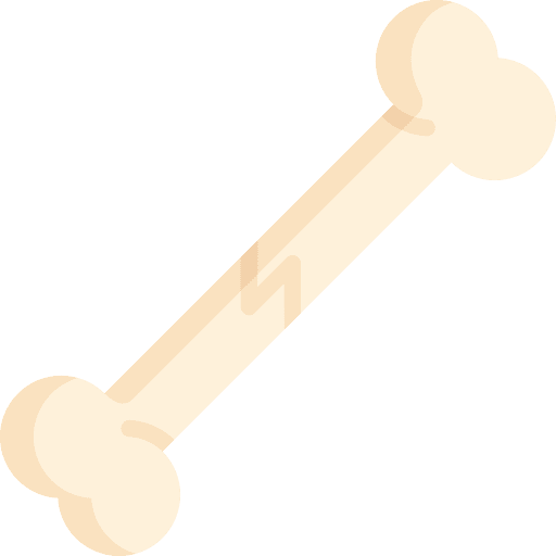 Bone bone paleontology miscellaneous icon