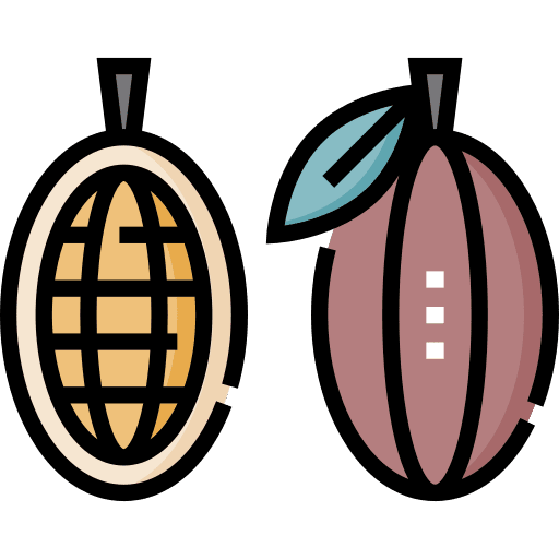 Cocoa bean seed chocolate food and restaurant icon